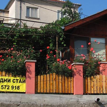 בלוגראדצ'יק Guesthouse Elena מראה חיצוני תמונה