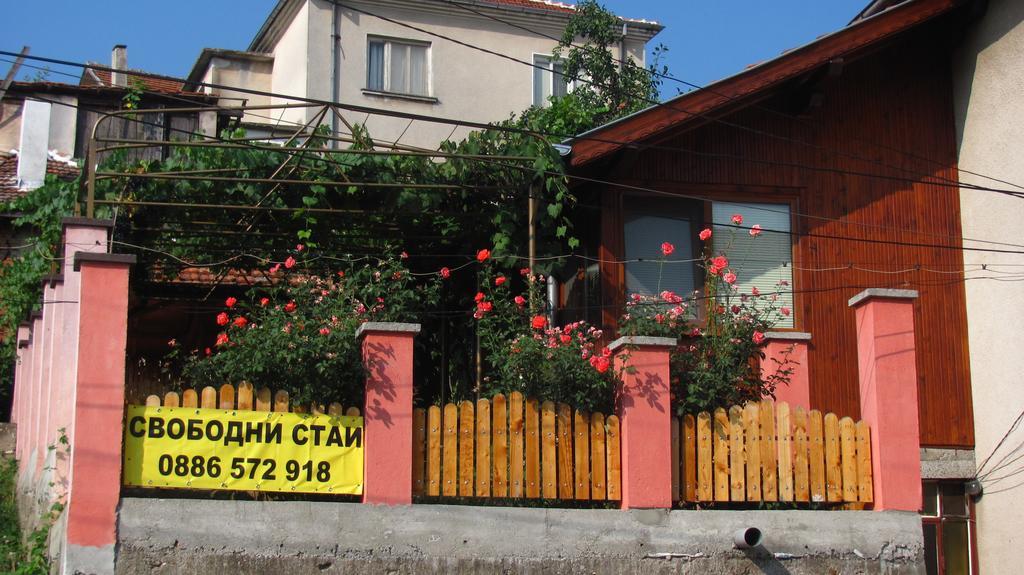 בלוגראדצ'יק Guesthouse Elena מראה חיצוני תמונה