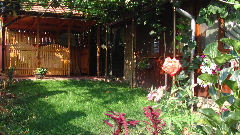 בלוגראדצ'יק Guesthouse Elena מראה חיצוני תמונה