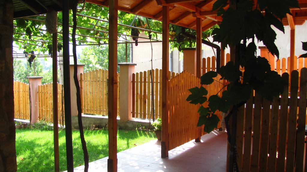 בלוגראדצ'יק Guesthouse Elena מראה חיצוני תמונה