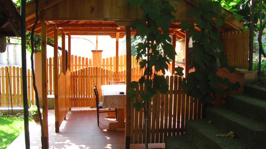 בלוגראדצ'יק Guesthouse Elena מראה חיצוני תמונה