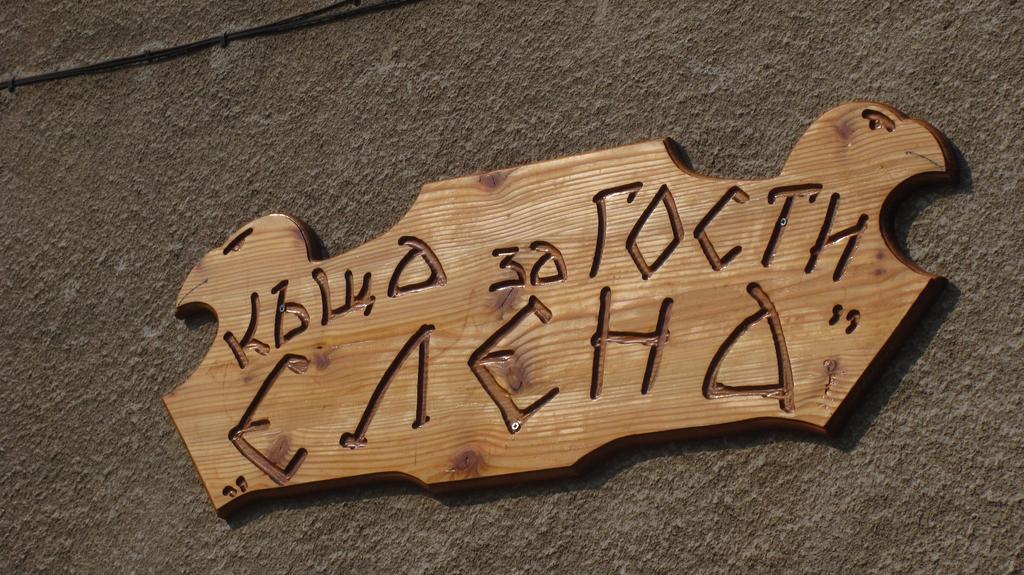 בלוגראדצ'יק Guesthouse Elena מראה חיצוני תמונה